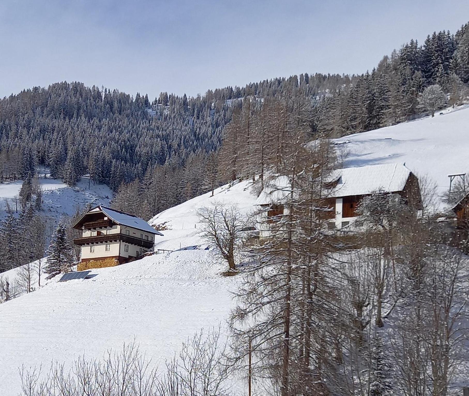 Villa Tischnerhof Bad Kleinkirchheim Exterior foto